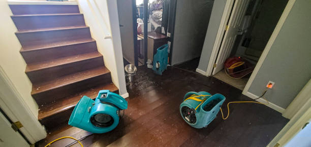 Best Commercial water damage restoration  in Natalbany, LA