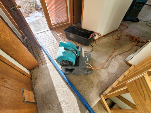 Best Basement water damage restoration  in Natalbany, LA