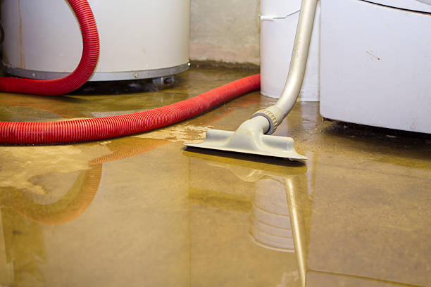 Best Water damage restoration insurance claims  in Natalbany, LA