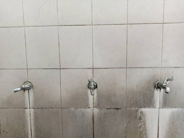 Best Carpet water damage restoration  in Natalbany, LA