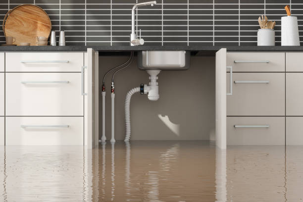 Best Sewage cleanup and water damage restoration  in Natalbany, LA