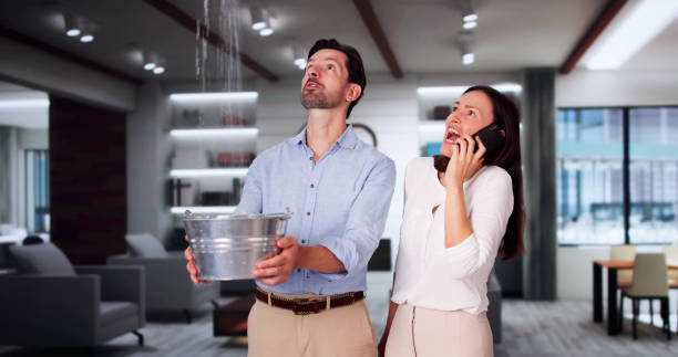  Natalbany, LA Water damage restoration Pros