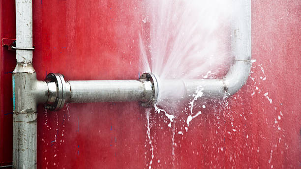Best 24/7 water damage repair  in Natalbany, LA