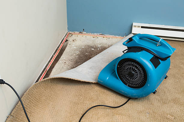 Best Water damage restoration near me  in Natalbany, LA